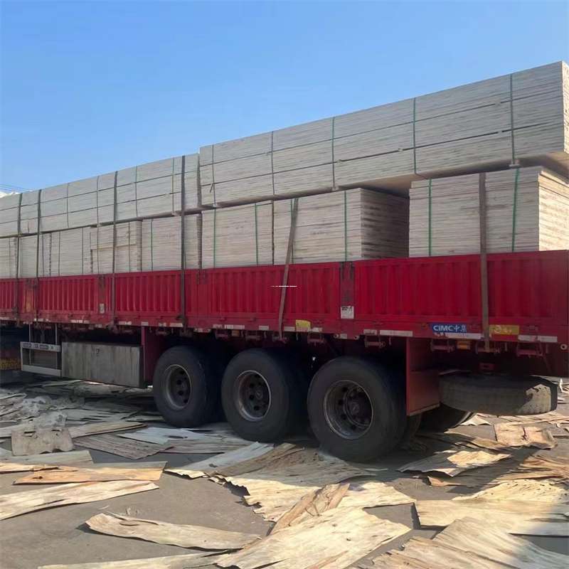 山东青岛胶州到新疆阿勒泰吉木乃县物流公司，专业物流服务助您成功